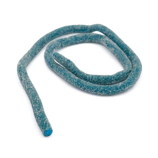 Vidal Giant Blue Tongue Painter Cables