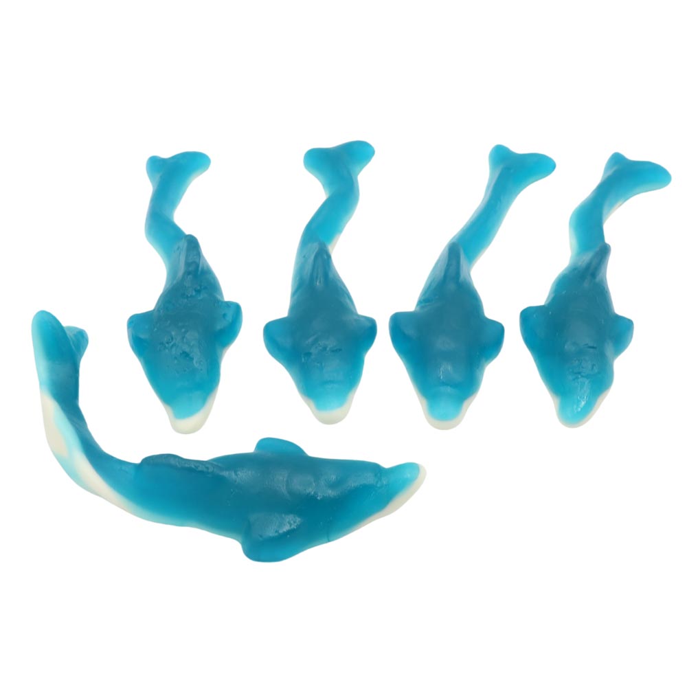 Kingsway Giant Dolphins 3kg