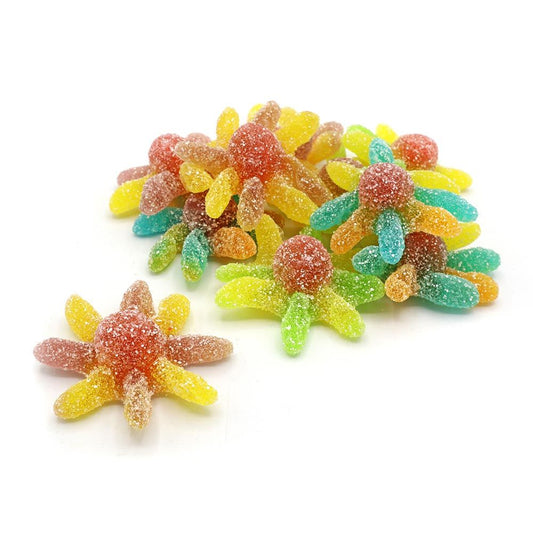 Kingsway Sour Octopus 2kg